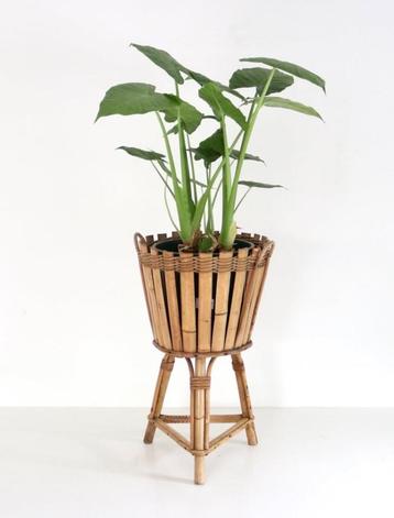 Vintage bamboe plantenbak jaren 60 beschikbaar voor biedingen