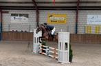 ‼️Super brave allrounder, voor iedere ruiter‼️, Dieren en Toebehoren, Paarden, Merrie, Springpaard, B, Gechipt