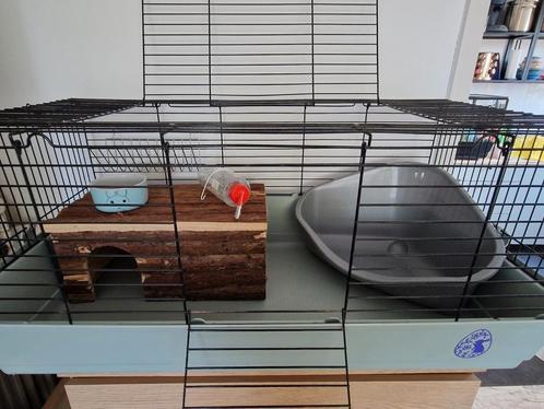 Knaagdierenkooi met toebehoren, Dieren en Toebehoren, Knaagdieren en Konijnen | Hokken en Kooien, Zo goed als nieuw, Ophalen