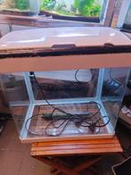 Superfish aquarium 60 l, Dieren en Toebehoren, Vissen | Aquaria en Toebehoren, Ophalen