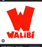 Billet Walibi ou Aqualibi 01/07/24, Carte de réduction, Une personne