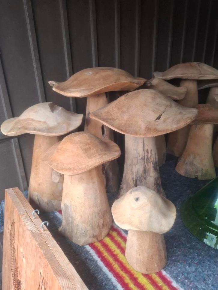 Teak houten paddestoelen set van 5 stuks! EYECATHER vd tuin, Tuin en Terras, Tuinwanddecoratie, Ophalen