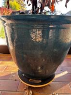 Grote bloempot +- 50cm doorsnee, Tuin en Terras, Ophalen, Nieuw