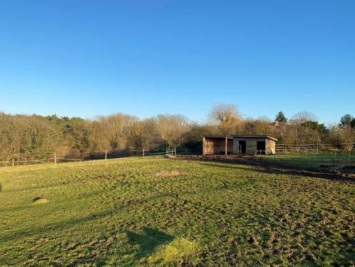 Prairie avec abris, Dieren en Toebehoren, Stalling en Weidegang, Weidegang, 2 of 3 paarden of pony's