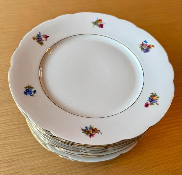 Antiek servies Johann Seltmann Vohenstrauss-12 platte borden, Antiek en Kunst, Antiek | Servies compleet, Ophalen of Verzenden