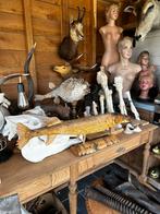 Curiosa te koop, Ophalen of Verzenden