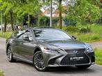 Lexus LS 500 3.5i V6 AWD President*TOPAANBOD* (bj 2017), Auto's, Lexus, 4 deurs, Gebruikt, Leder, Vierwielaandrijving