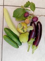 Fruits légumes et œufs bio, Enlèvement