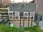 Dubbele konijnenvilla + omheining, Dieren en Toebehoren, Knaagdieren en Konijnen | Hokken en Kooien, Ophalen, Gebruikt, Hok