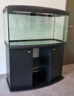 Aquarium 350L + kast + accessoires, Dieren en Toebehoren, Gebruikt, Leeg aquarium