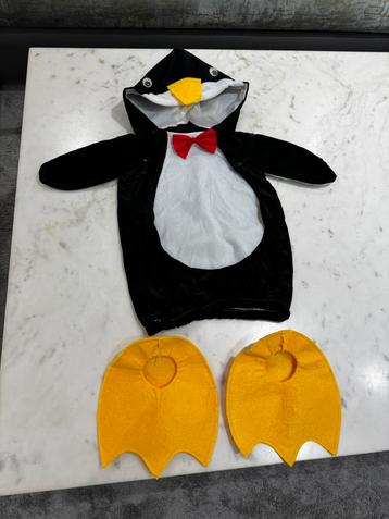 Pinguïn verkleedpak, Enlèvement