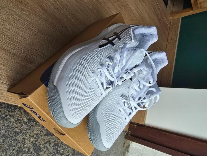 Sportschoen voor heren, maat 43,5 Oasics, Sport en Fitness, Basketbal, Zo goed als nieuw, Schoenen, Ophalen