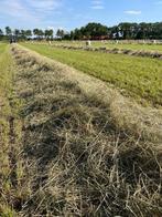 Midibalen hooi, Dieren en Toebehoren, Ophalen, Overige soorten