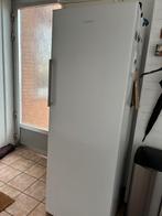 Exquisit losstaande koelkast, Classe énergétique A ou plus économe, 160 cm ou plus, Sans bac à congélation, Enlèvement