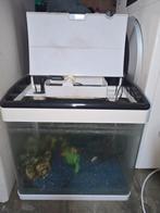 Aquarium met verlichting en filter  en spullen, Enlèvement