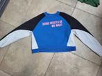 1 euro koopjes ! Mooie trui mt 176 (zie foto's), Kinderen en Baby's, Kinderkleding | Maat 176, Ophalen of Verzenden, Gebruikt