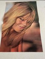 Poster Brigitte Bardot, Verzamelen, Ophalen of Verzenden, Gebruikt, A1 t/m A3, Film en Tv