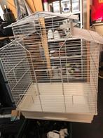 Kooi zeer goede staat, Ophalen of Verzenden, Zo goed als nieuw