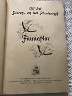 chromo-album: Faunaflor uitgeg. door Côte d'or, Boeken, Ophalen of Verzenden