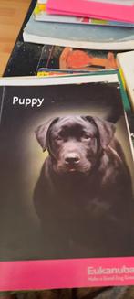 Puppy, Boeken, Dieren en Huisdieren, Ophalen of Verzenden