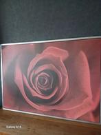 Kader met rode roos, Enlèvement