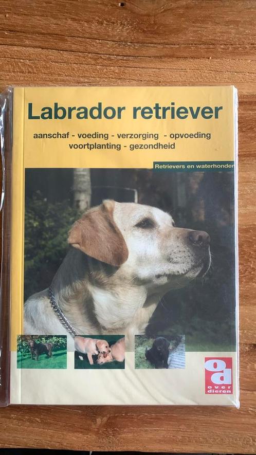 De Labrador retriever, Livres, Animaux & Animaux domestiques, Enlèvement ou Envoi