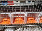 Nesten & Materiaal | Winkel & Webshop | OPEN op zo, Dieren en Toebehoren, Vogels | Kanaries
