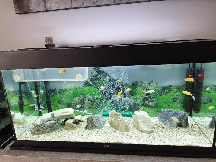 AQUARIUM JUWEL 180L A VENDRE, Divers, Divers Autre, Comme neuf, Enlèvement