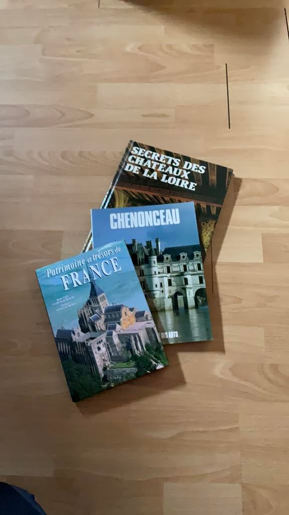 2 livres chateaux de la loire et patrimoine français, Livres, Enlèvement ou Envoi, Comme neuf