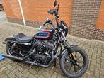 Harley davidson sportsyer, Motos, Motos | Harley-Davidson, Particulier, 2 cylindres, Plus de 35 kW, 1202 cm³