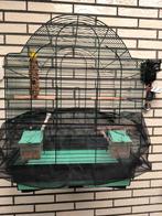 Vogelkooi, Dieren en Toebehoren, Ophalen, Vogelkooi