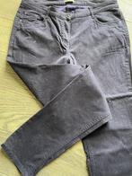 broek Claude Arielle maat 42, Claude arielle, Paars, Maat 42/44 (L), Ophalen of Verzenden