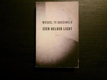Zeer helder licht  -Wessel te Gussinklo- beschikbaar voor biedingen