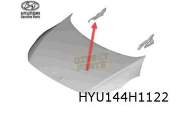 Hyundai Ioniq 5 (10/21-) Motorkapscharnier Rechts Origineel!