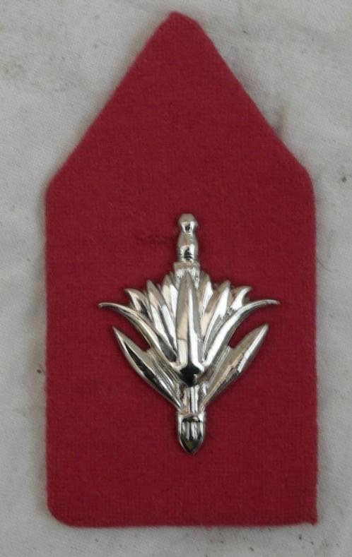 Kraagspiegel /Embleem DT63 Korps Militaire Administratie.(1), Collections, Objets militaires | Général, Armée de terre, Enlèvement ou Envoi