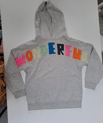 Mt 12j Grijze hoodie met wonderful in gekleurde letters beschikbaar voor biedingen