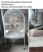 Papegaaikooi zonder het speelgoed, Ophalen, Zo goed als nieuw