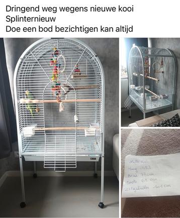 Papegaaikooi zonder het speelgoed beschikbaar voor biedingen