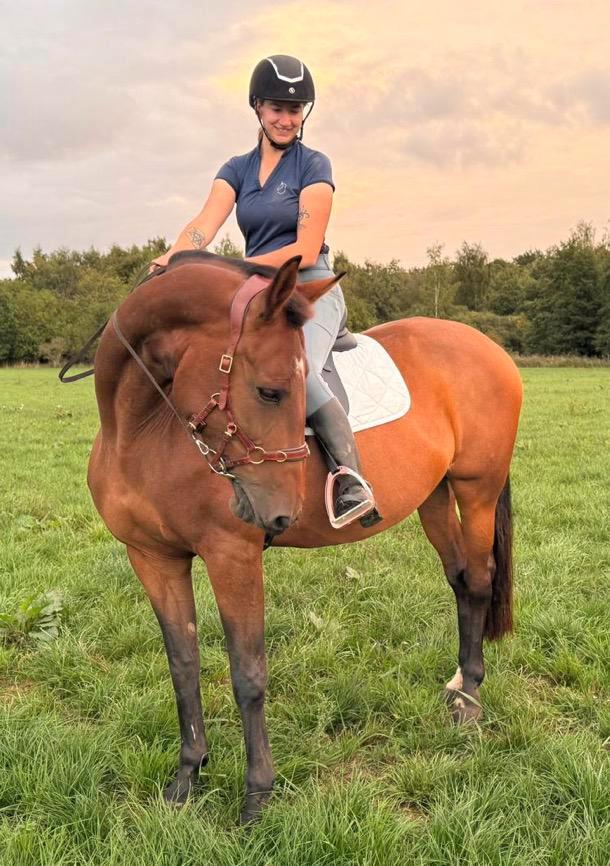 Paardrijles voor jong en oud, Dieren en Toebehoren, Paarden, Niet van toepassing
