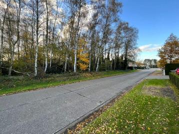 Grond te koop in Westerlo beschikbaar voor biedingen