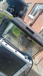 Aquarium, Dieren en Toebehoren, Ophalen
