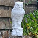Uil, Tuin en Terras, Ophalen, Zo goed als nieuw, Beton, Dierenbeeld