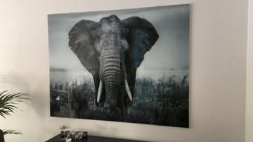 Afrikaanse olifant - glas - 160 x 120 cm beschikbaar voor biedingen