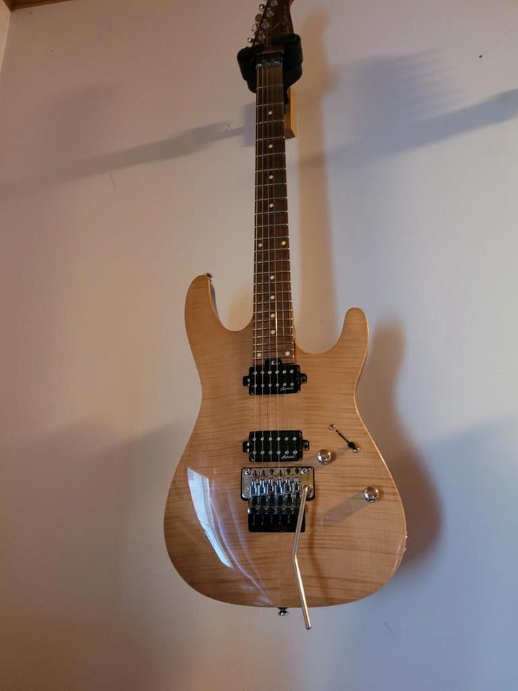 Gitaren, metal, Floyd Rose, Jackson, Harley Benton, Muziek en Instrumenten, Snaarinstrumenten | Gitaren | Elektrisch, Zo goed als nieuw