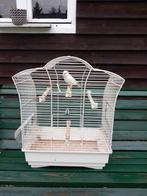 Kooi met kanarie, Dieren en Toebehoren, Ophalen