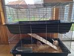 Deux lapins + double Cage, Comme neuf, 90 cm ou plus, Lapin, 110 cm ou plus