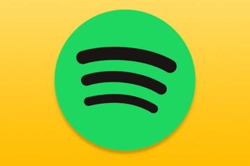 Spotify Premium 6 of 12 maanden  beschikbaar voor biedingen