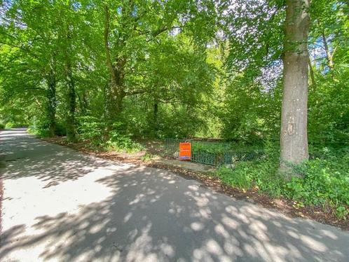 Terrain à vendre à Barbençon, Immo, Gronden en Bouwgronden, 1500 m² of meer