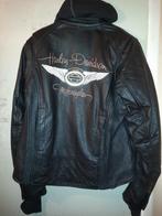 Veste moto Harley Davidson Femme, Motoren, Kleding | Motorkleding, Nieuw zonder kaartje, Jas | leer, Dames, Harley-Davidson