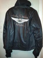 Veste moto Harley Davidson Femme, Motoren, Ophalen, Harley-Davidson, Jas | leer, Nieuw zonder kaartje